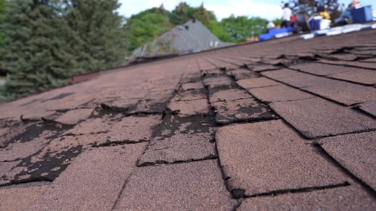 Best Slate Roofing  in Norwalk, OH
